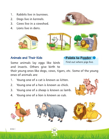 Page 64 - EVS Class 01 Page 64 - EVS Class 01