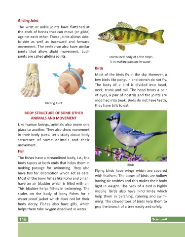 Page 118 - Science Class 06 Page 118 - Science Class 06